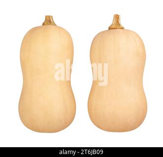 butternut path isolated on white Stock Photo