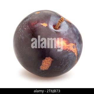 red plum path isolated on white Stock Photo