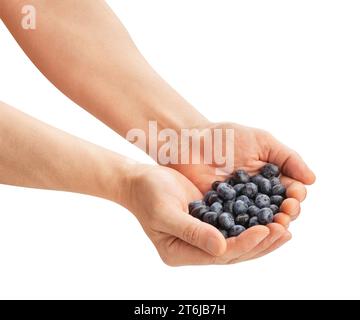 blueberry in hand path isolated on white Stock Photo