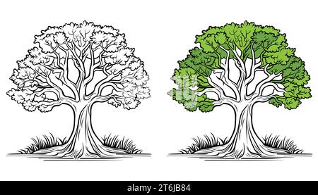Vector trees outline on white background Stock Vector