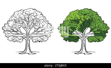 Vector trees outline on white background Stock Vector