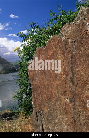 Buffalo Eddy petroglyphs, Nez Perce National Historic Park, Washington Stock Photo