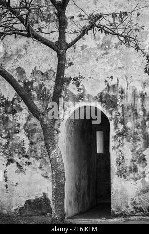 San Juan de Ulua, Veracruz, Mexico, door and tree, detail, moody Stock Photo