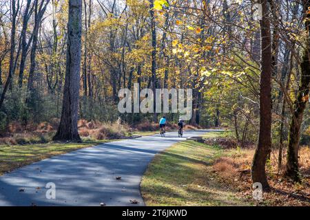Two bicyclists riding on a paved path through a forest in fall. Stock Photo