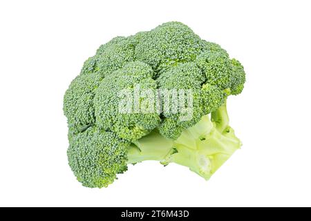 Fresh broccoli isolated on white background. File contains clipping path. Full depth of field. Stock Photo