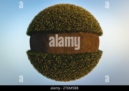 Abstract spherical corn field on a blue background. Corn plants with cobs 3D Stock Photo