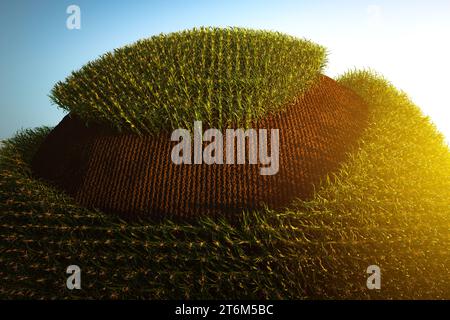 Abstract spherical corn field on a blue background. Corn plants with cobs 3D Stock Photo