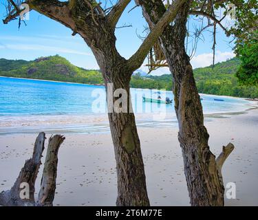 Sunny, white sandy beach, docked fishing boat, huge granite rocks between tree trunk at Baie Lazare beach, Mahe, Seychelles Stock Photo