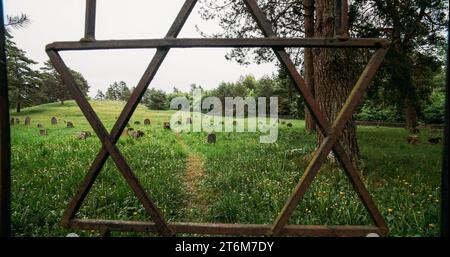 David star on door entrance to jewish grave, Old ancient Jewish cemetery in summer spring day. Druya, Belarus. green grass and many ancient stones Stock Photo