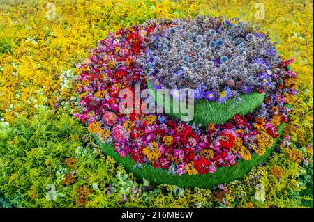 Multicolored flower background. Happy birthday cake made of flowers. Beautiful flower arrangement. Stock Photo