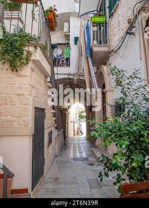 Vieste, Italy - 25 August 2023: view of city cente of Vieste Stock Photo