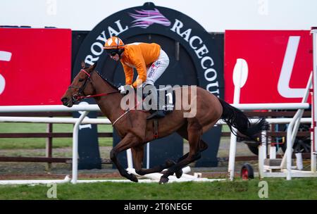 Down Royal, Northern Ireland , Saturday 11th November 2023. Big Dee and jockey Mr J. C. Barry win the Ladbrokes Pro/AM Flat Race for trainer Eoin Christopher McCarthy and owner Mr Sean Maguire. Credit JTW Equine Images / Alamy Live News. Stock Photo