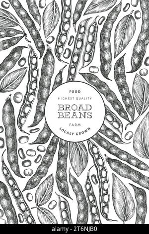 Hand drawn broad beans design template. Organic fresh food vector illustration. Retro pods illustration. Engraved botanical style cereal background. Stock Vector