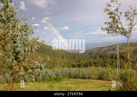rainbow seen from the forest in an autumn day Stock Photo