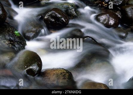 Christy Creek, Flaming Gorge State Park, Washington Stock Photo