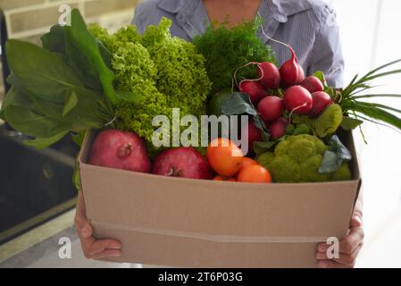 Close-up of a cardboard container with fresh green leaves, spinach, salad, fruits and vegetables in housewife's hands. Healthy eating, slimming and di Stock Photo