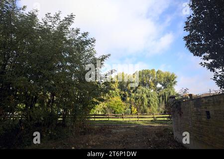 Path  between a hedge and a brick wall with a creeping plant on it after a rainfall in the italian countryside Stock Photo