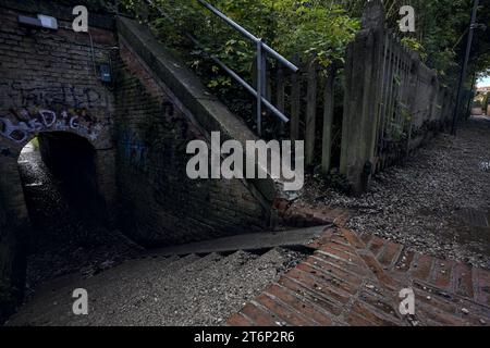 Staircase  to a passageway under a railroad bordered by plants in an italian town Stock Photo