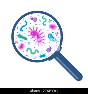 Different bacteria, pathogenic microorganisms under a magnifying glass. Bacteria and germ, microorganisms disease-causing, bacteria, bacteria, viruses Stock Vector