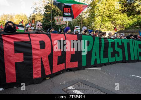 Large Banner 'Free Palestine'. Protest against the war on Gaza, London November 11th 2023. Stock Photo