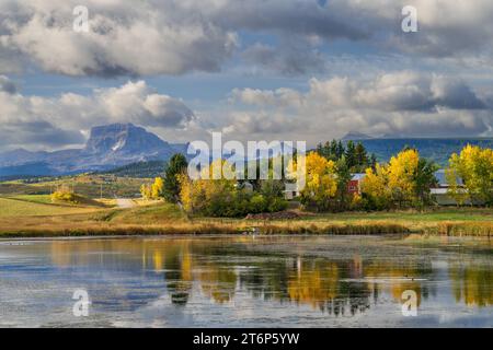 Fall foliage color in the foothills of Waterton Lakes National Park, near Mountain View, Alberta, Canada. Stock Photo