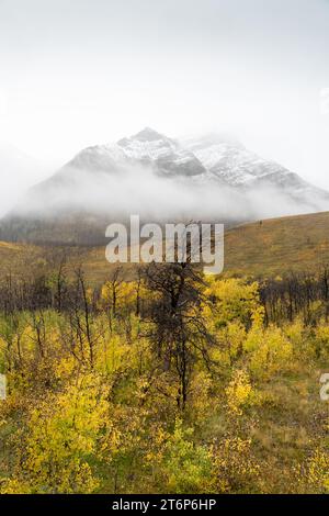 Snow line on the mountains of Waterton Lakes National Park with fall foliage, Alberta, Canada. Stock Photo