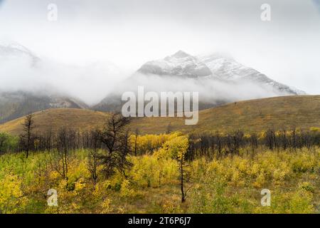 Snow line on the mountains of Waterton Lakes National Park with fall foliage, Alberta, Canada. Stock Photo