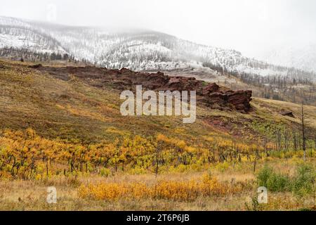 Snow line on the mountains of Waterton Lakes National Park with fall foliage, Alberta, Canada. Stock Photo