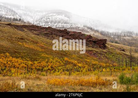 Snow line on the mountains of Waterton Lakes National Park with fall foliage, Alberta, Canada. Stock Photo