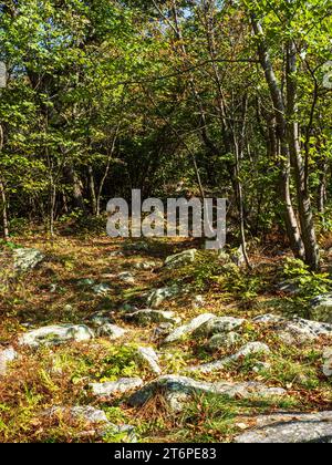 A morning hike on the North Mountain and Laurel Run Trail is a rocky adventure. The trail crosses the border of West Virginia and Virginia, and the su Stock Photo