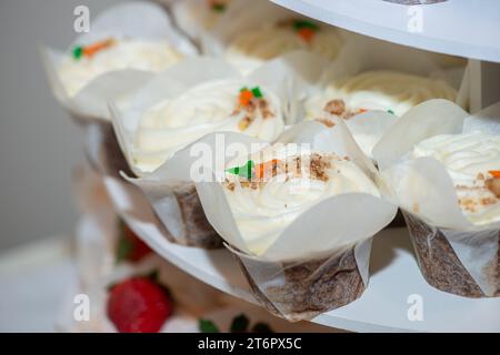 Chocolate cup cakes with rasberry swirl and rasberry fruit on top cupcakes with vanilla frosting and carrot toppings on dessert table Stock Photo