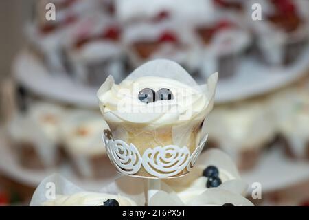 Vanilla cup cakes with blue berry fruit on top cupcakes with vanilla frosting and carrot toppings on dessert table Stock Photo