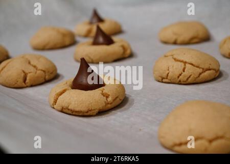 Three rows of freshly baked peanut butter blossom cookies, half of which have chocolate on top. Stock Photo
