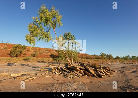 Dry riverbed of the Orb River in the golden light, Duncan Road, Kimberley Region, Western Australia, Australia Stock Photo