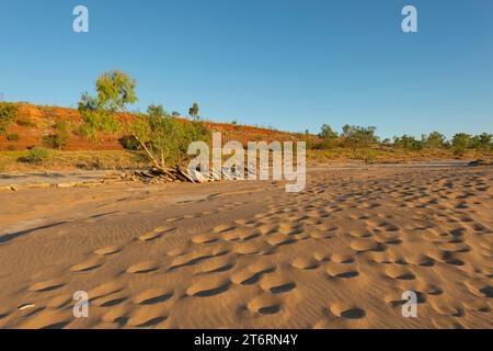 Footprints in the sand of the dry riverbed of the Orb River in the golden light, Duncan Road, Kimberley Region, Western Australia, Australia Stock Photo