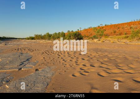 Footprints in the sand of the dry riverbed of the Orb River in the golden light, Duncan Road, Kimberley Region, Western Australia, Australia Stock Photo