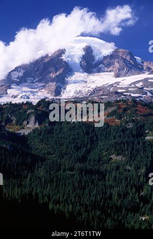 Mt Rainier from Stevens Canyon, Mt Rainier National Park, Washington ...