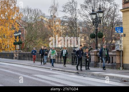 Football fans of Hammarby IF from Stockholm walk along street Kungsgatan towards Platinumcars Arena in Norrkoping to watch their team. Stock Photo
