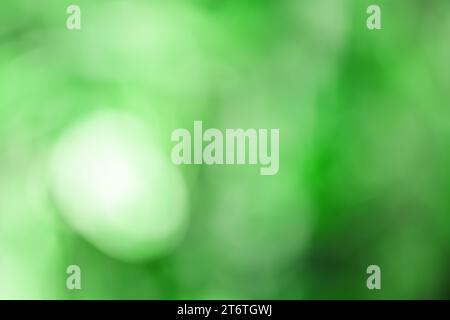 green blurred bokeh background Stock Photo