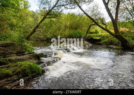 The Torrs Riverside Park at New Mills, Derbyshire, England. A small weir on the river in summer. Stock Photo