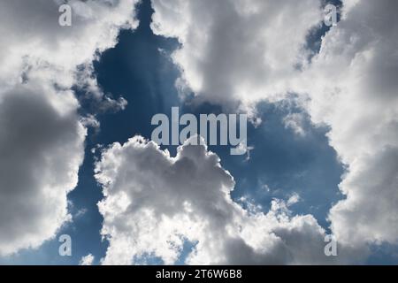 Detail of a white, puffy, cotton-like cumulus cloud formation set against a background of bright, blue sky during fair weather. Stock Photo