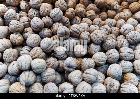 a large amount of freshly harvested walnuts, close up image Stock Photo