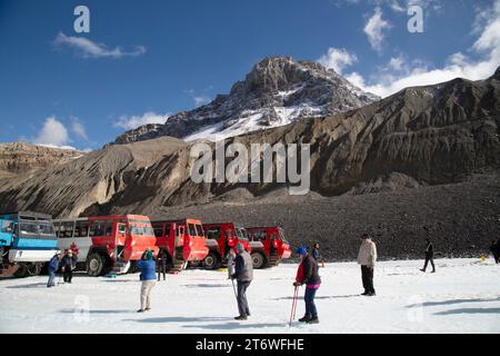 Terra Bus on the Athabasca Glacier, Columbia Icefield, Jasper National Park, Alberta, Canada Stock Photo