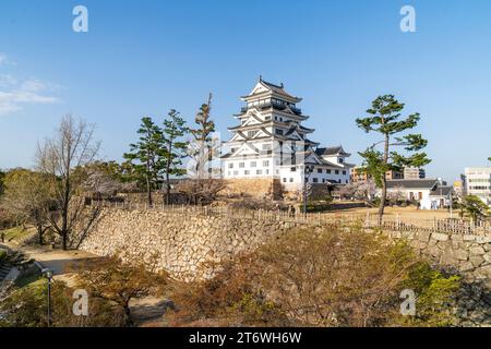 Fukuyama castle in Japan. Surrounded by cherry blossoms in the springtime, and behind it a clear blue sky is the restored black and white keep, Tenshu Stock Photo