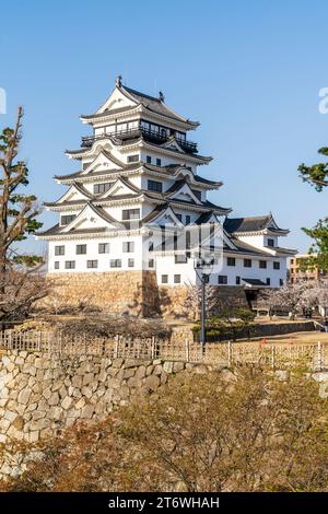 Fukuyama castle in Japan. Surrounded by cherry blossoms in the springtime, and behind it a clear blue sky is the restored black and white keep, Tenshu Stock Photo