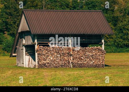 Stacked chopped firewood in farm shed for winter season, selective focus Stock Photo