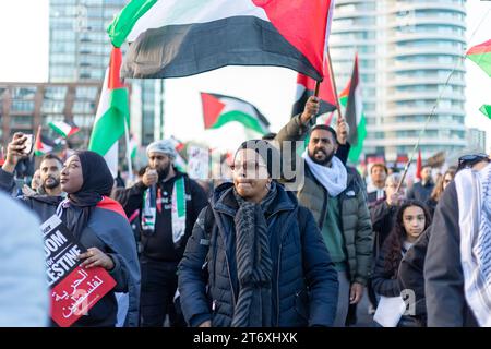 11th November Palestinian Solidarity March - Armistace Day Stock Photo ...