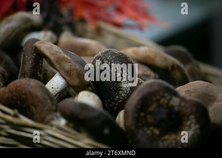 Japanese Shiitake mushrooms cooked tomato sauce at a street food stand in Tokyo. Stock Photo