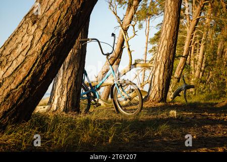 Bicycle leaning against tree trunk in forest Stock Photo