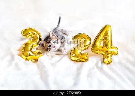 Christmas card cat 2024, Kitty with gold foil balloons number 2024 new year, Striped kitten on Christmas festive white background Stock Photo